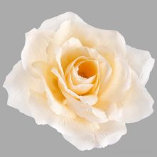 13cm or 5 Inch Pale Peach French Rose